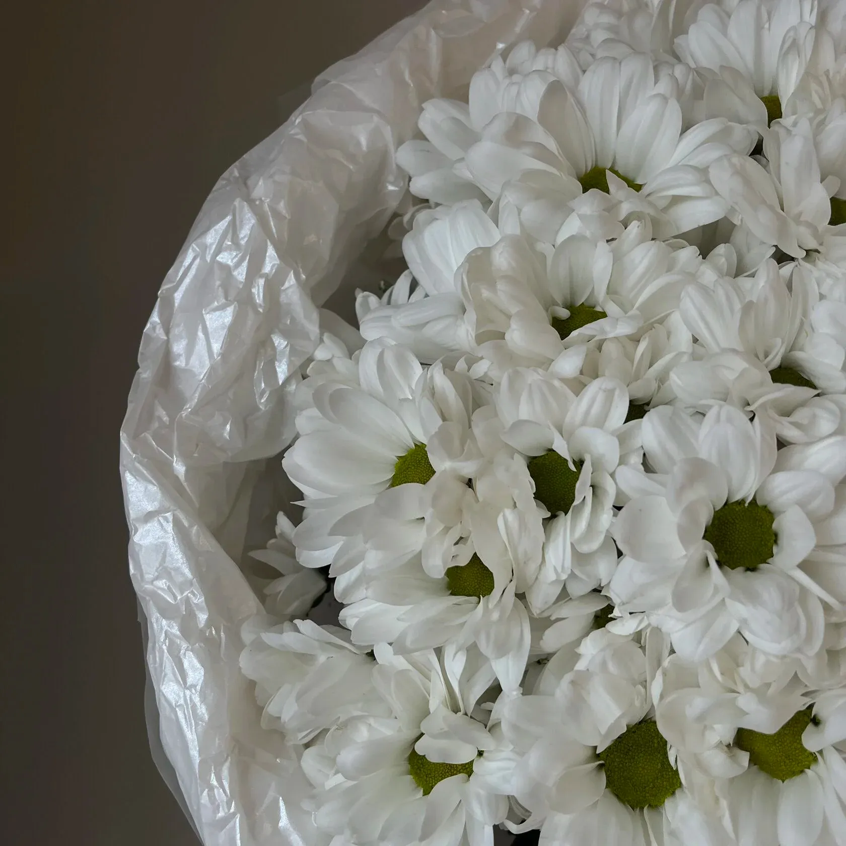 Single bouquet of 9 spray chrysanthemums 2