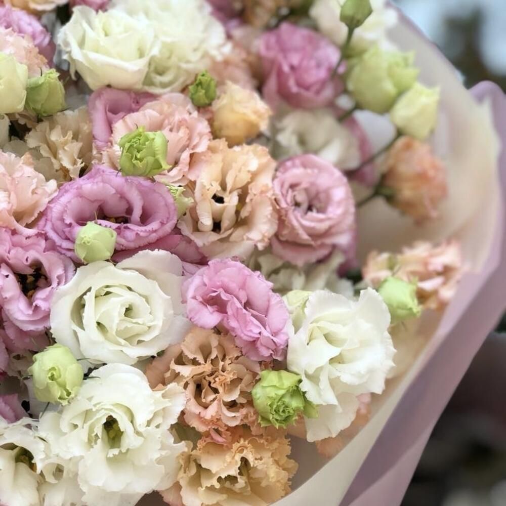 Buchet din 51 eustoma mix 2