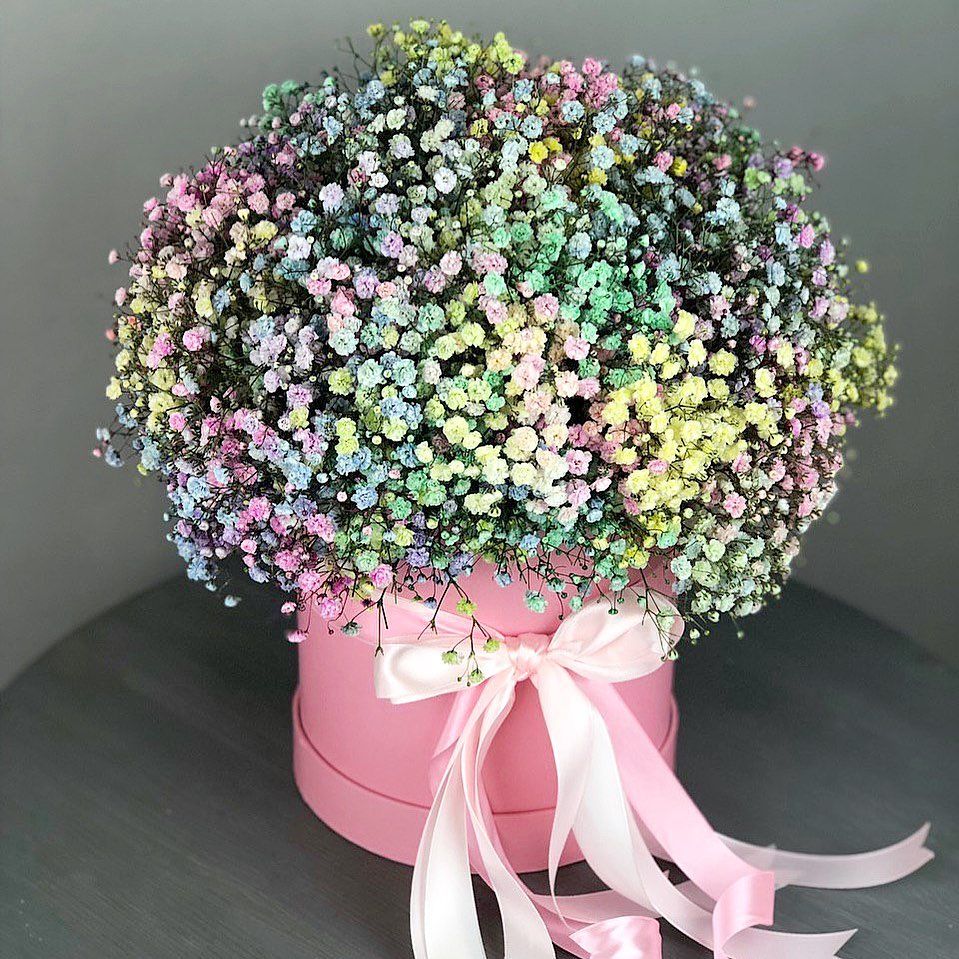 Cutie cu gypsophila curcubeu «Valeriia»