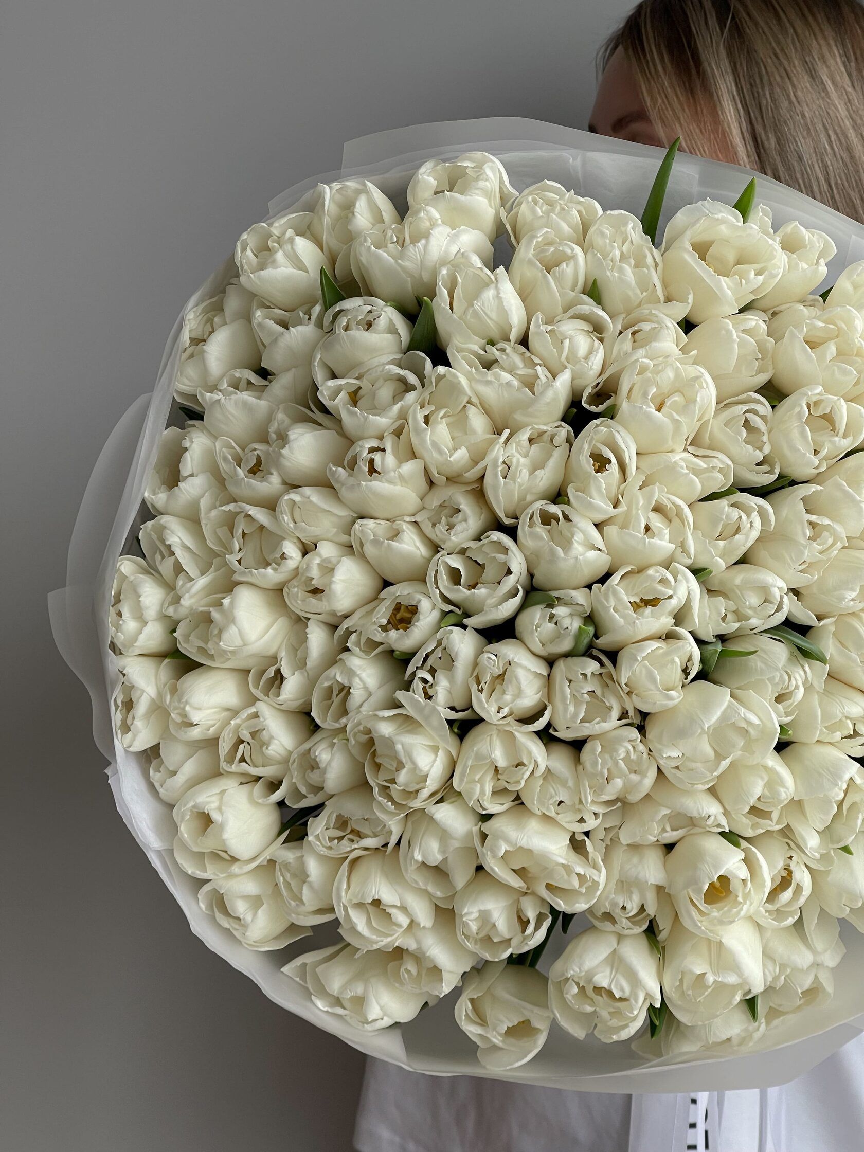 White peony tulips, 101 pieces. 2