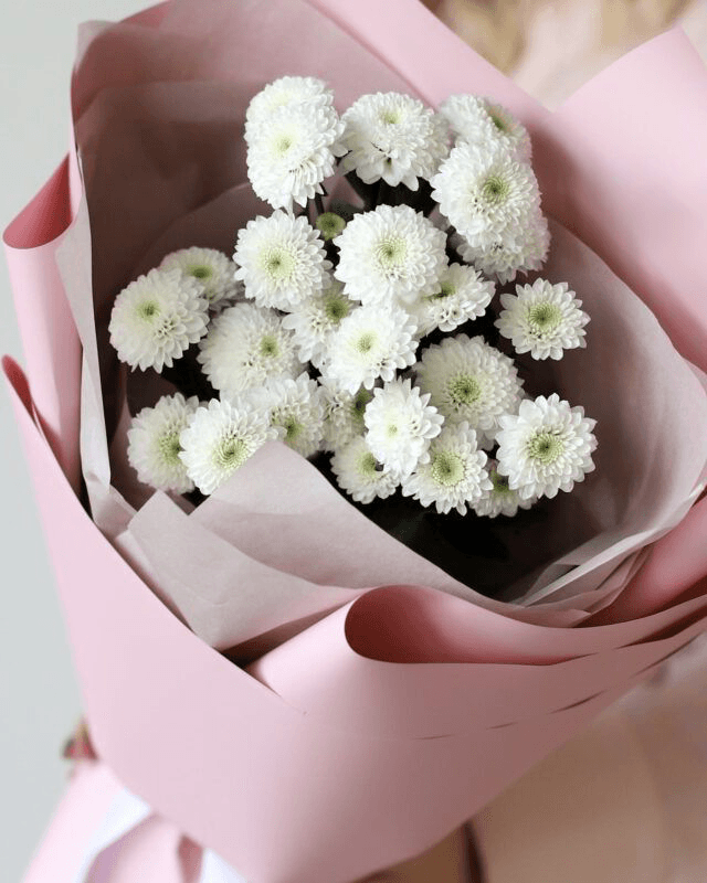 Mono-bouquet of Coconut chrysanthemums, 3 stems 2