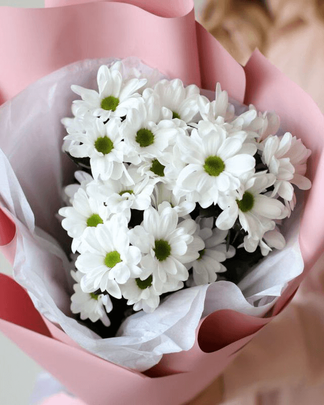 Mono-bouquet of daisy chrysanthemums, 3 stems 2
