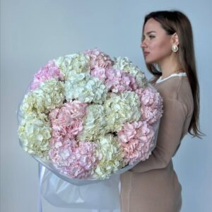 Облако Гортензий 15 штук