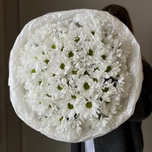 Монобукет из 9 кустовых Хризантем