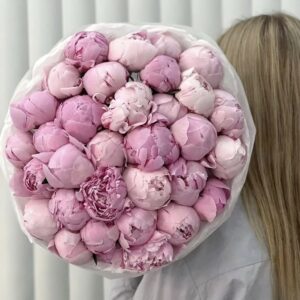 Круглый букет из 35 розовых пионов «Vekoti»