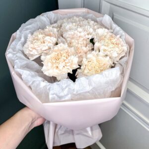 Круглый букет из 9 нежных диантусов